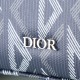 DIOR SAFARI BAG WITH STRAP